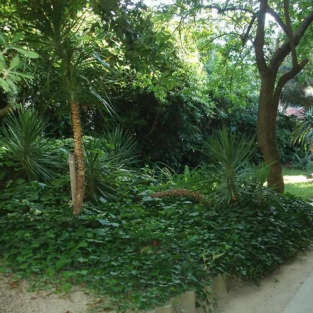 Vrdoljak Apartment Baska Voda