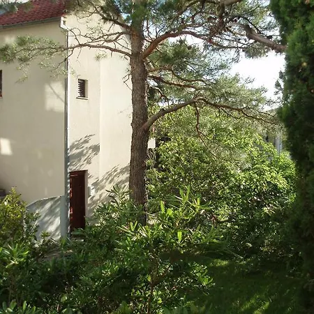 Apartment Vrdoljak Baska Voda