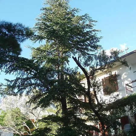 Vrdoljak *